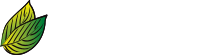 Ashburn Media
